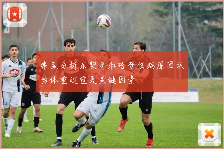 弗莱分析东契奇和哈登伤病原因认为体重过重是关键因素