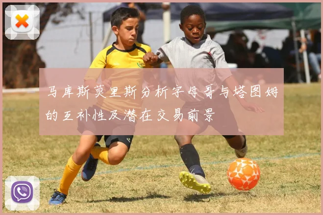 马库斯莫里斯分析字母哥与塔图姆的互补性及潜在交易前景