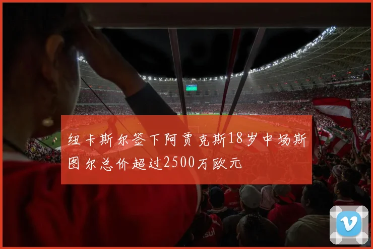 纽卡斯尔签下阿贾克斯18岁中场斯图尔总价超过2500万欧元